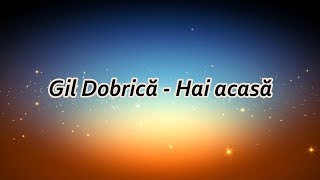 Gil Dobrica - Hai acasa (versuri, lyrics, karaoke)