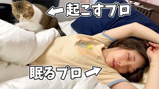 🐈朝6時に起きたくないママVS絶対に起こす猫