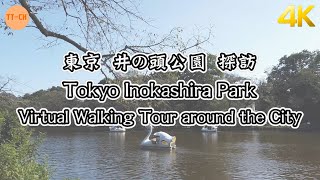 【4K】東京　井の頭公園　探訪 Tokyo Inokashira Park Virtual Walking Tour around the City