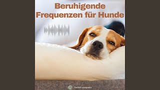 Anti-Stress Musik für Hunde | Entspannung bei Gewitter \u0026 Feuerwerk