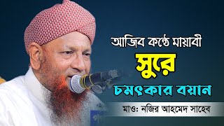 মধুর সুরে আজিব কন্ঠে বয়ান ২০২৩ | Nazir Ahmed Waz | Bangla waz 2023 | নজির আহমদ টঙ্গী