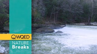 WQED Nature Breaks: McConnells Mill State Park