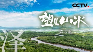 《望见山水——绿水青山生态兴》守护湿地之美：湿地涵养水源 平衡着地球的体温 人类文明也在这样的土地上悄然诞生 EP05【CCTV纪录】