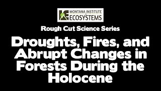 Droughts, Fires, and Abrupt Changes in North American Forests During the Holocene