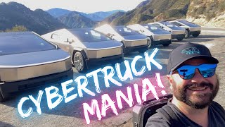 Cybertruck Mania!