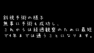 [眼科]斜視手術の入院生活と、手術後の様子について