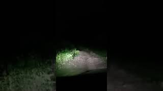 Ramnagar | Jim Corbett National park | late night | tiger | Horror | Trending Raka