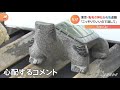 亀有の神社の「亀」盗まれる【nスタ】