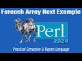 Perl Programming Code Example: Foreach - Next - Array Iteration 2024