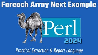 Perl Programming Code Example: Foreach - Next - Array Iteration 2024