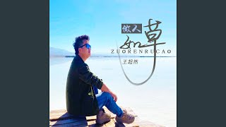 做人如草 (DJ默涵版)