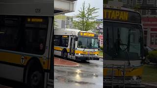 MBTA Bus Rareness