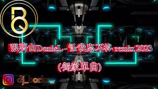 张齐山DanieL - 怪我忘不掉 remix 2023（DJBorko獨家單曲）