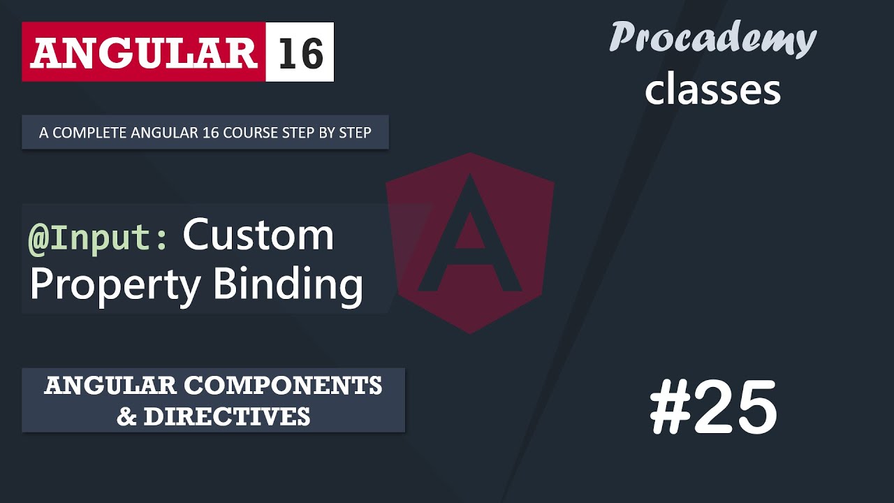 25 Input Custom Property Binding Angular Components Directives