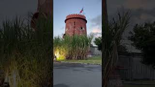 #puertorico #nature #salsa #history #sugarcane #trending #travel #highlights #flag