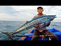 Pertama Kali Narik Jackpot Tenggiri Wahoo size Besar !! Light Jigging