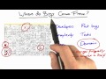 Recap on Sources - Software Debugging