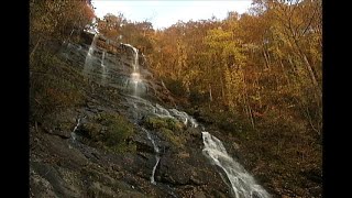 Beginners Guide to Georgia | Georgia Outdoors Vintage
