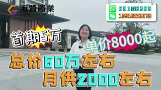 單價8000元，總價60萬的珠海筍盤真係好難穩！月供2K，首期5萬，完全無壓力！广银畔山林语【30分鐘到港珠澳大橋】返港超方便！15分鐘就到華發商都丨井岸新城核心地段丨退休投資首選