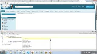 Working with Custom Controllers, Create Classes using Apex - Sample Code
