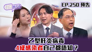 【健康關注組】｜ EP250 預告 ｜ 乙型肝炎病毒 4成感染者自己都唔知？｜醫學節目｜健康資訊 ｜HOY 77