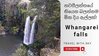 බලන්නම ඕන දිය ඇල්ලක්, Whangarei falls | Sinhala vlog | New Zealand vlog #sinhalavlog #newzealandvlog