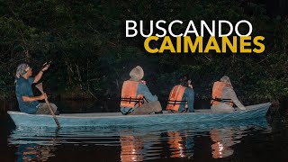 Buscamos CAIMANES en la selva de ECUADOR a media noche