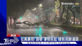 狂風暴雨! 路樹「連根拔起」傾倒.阻斷道路｜TVBS新聞 @TVBSNEWS01