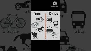 Accelerate Your English Skills with Drive and Ride Vocabulary#shortsfeed #reelsvideo #viralvideo