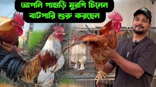 আপনি পাহাড়ি মুরগি চিনেন  বাটপারি শুরু করছেন