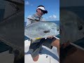 monster permit caught offshore fishing shorts