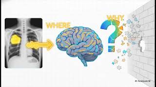 Explainable AI (XAI): How to Make Black Box Models Transparent & Trustworthy