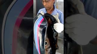 Petrol tank cleaning | Easy method...