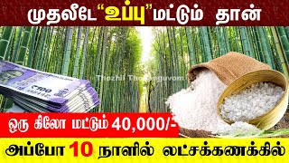 10 நாளில் லட்சக்கணக்கில் சம்பாதிக்க இந்த தொழிலை தொடங்குகள் | Bamboo Business Ideas in Tamil