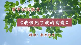 贾平凹的散文《我恨死了我的窝囊》诵读：春天的风