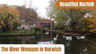 The River Wensum in Norwich