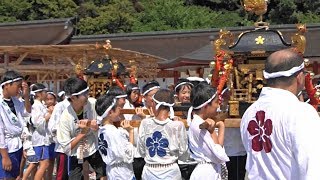 ２０１８大宰府天満宮　天神まつり夏越祭　子供みこし「動画」