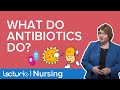 Antibiotics and Bacteria | An Introduction to Anti-Infectives | Pharmacology | Lecturio Nursing