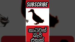 ඔන්න තවත් එකක් 🤩🤩🫡subscribe ,කරන්න #youtubeshorts #1millionviews