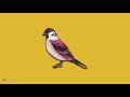 Travis Scott x Lil baby x Instrumental Type Beat BIRD Reyaansh Music Beats    2021