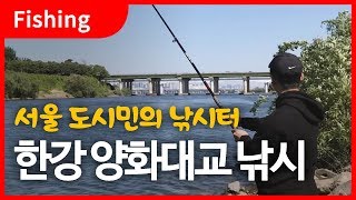 초보 한강 양화대교 낚시 / Beginner's Fishing in the Han River in Korea