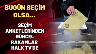 BUGÜN SEÇİM OLSA... Seçim anketlerinden güncel rakamlar Halk TV'de