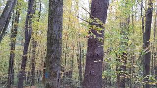 Trail at Lake Mansfield in Great Barrington, Massachusetts