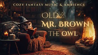 Old Mr. Brown the Owl in the Cozy Hollow • Forest Library Ambience \u0026 Subtle Fantasy Reading Music