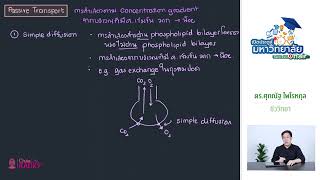 วิชาชีววิทยา ตอนที่ 15 (โครงสร้างและหน้าที่ของเมมเบรน II)