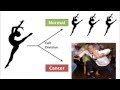 3 Minute Thesis: Dance of the DNA