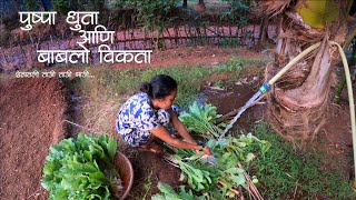 पुष्पा धुता नी बाबलो विकता शेतातली ताजी ताजी भाजी | मालवणी माणूस | Village Life | Colours Of Konkan