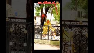 વાવ ની ખોડિયાર 🚩 short#video)