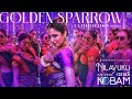 Golden Sparrow Lyric Video | Dhanush | Priyanka Mohan | Pavish | Anikha | GV Prakash #NEEK