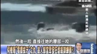 追不上遊艇沒得躲　海獅被殺人鯨甩上天「１秒變海豚」20140819-03